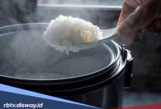 Penyebab dan Cara Mengatasi Magic Com yang Berair, Tidak Harus Ganti Baru