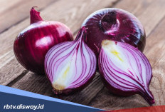 Jadi Primadona Hidangan, Rupanya Ini 7 Manfaat Bawang Merah Bagi Tubuh
