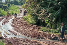 Jalan Menuju Desa Napal Jungur Seluma Tertimbun Material Tanah Longsor, Hati-hati Licin