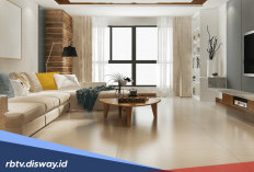 Setop Renovasi Ulang! Begini Cara Supaya Ruang Tamu Sempit Ukuran 3x3 Bisa Terlihat Lebih Luas