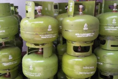 Pemprov Bengkulu Ajukan Penambahan Kuota LPG dan BBM Subsidi