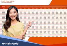 Pengajuan Kredit di Bank Bisa Pakai HP, Contohnya BNI Fleksi