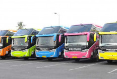 Rute dan Tarif Bus Handoyo VIP dan Executive Jakarta-Jember 2026