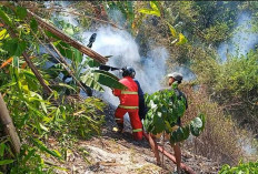 Lahan di Desa Taba Renah Kabupaten Rejang Lebong Terbakar Akibat Aktivitas Bakar Sampah