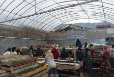 Limbah Sumber Penghidupan, Nasabah PNM Mekaar di Bandung Barat Kembangkan Usaha Lewat Sinergi Ultra Mikro BRI