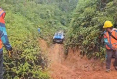 Tebang Pohon Tak Ada Koordinasi Dengan PLN, Jaringan Listrik Seluma Terputus 