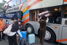 Mudik Lebaran 2026, Ini Daftar Harga Tiket Bus Rosalia Indah Executive Jakarta - Malang
