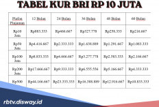 Tabel Pinjaman KUR BRI Mei 2026 Rp 10 Juta, Ini Jenis Usaha yang Cocok Dimodali