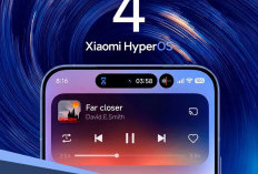Daftar HP Xiaomi yang Duluan Mendapat Pembaruan HyperOS 4