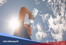Gelombang Panas Bikin Geger Dunia, Ini Wilayah Indonesia Paling Panas Awal Juli, Cek Daerahmu
