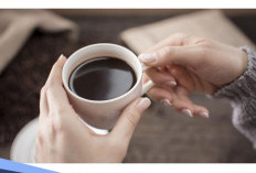 Bahaya Jika Kebanyakan, Berapa Gelas Minum Kopi Sehari yang Aman Bagi Kesehatan? 