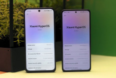 Bingung Pilih yang Mana? Ini Perbandingan POCO M7 4G vs Redmi Note 15 4G