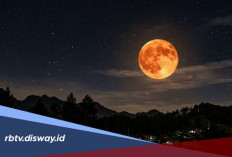 Ada Fenomena Hunter's Moon Malam Ini, Catat Waktu Terbaik Menyaksikannya