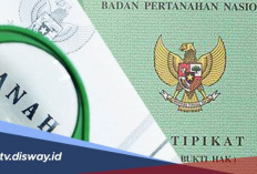 Simpel dan Mudah, Begini Cara Cek Sertifikat Tanah Elektronik Asli BPN Lewat HP