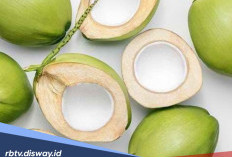 Belum Banyak yang Tahu, Ini 5 Manfaat Buah Kelapa untuk Kesehatan