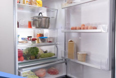 Lampu Kulkas di Rumah Tidak Menyala? Jangan Panik, Ini Penyebab dan Cara Mengatasinya