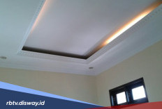 Plafon Gypsum atau Triplek? Mana yang Lebih Bagus dan Murah?