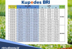Alasan Utama Pinjaman Kupedes BRI Jadi Pilihan UMKM, Simak Angsuran Kupedes 1 Juta-20 Juta