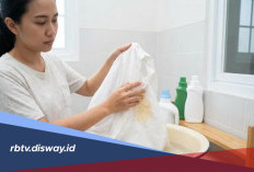 Anti Ribet, Bahan Alami Ini Ampuh Bersihkan Noda Minyak Pada Pakaian  