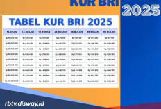 Sudah Ajukan KUR BRI tapi Belum Tahu Disetujui atau Tidak, Begini Cara Mudah Memastikannya