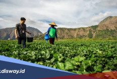 Ini Sederet Keunggulan KUR BRI, Cek Syarat Pengajuannya