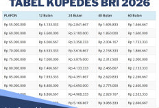 Sama-sama dari BRI, Ini Perbedaan Mencolok KUR dan Kupedes 