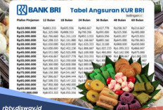 Pelaku Usaha Naik Level Bulan Puasa, Manfaatkan KUR BRI, Ini Tabel Pinjaman Rp 100 Juta