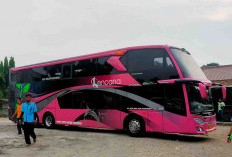 Update Harga Tiket Bus PO Kencana ke Berbagai Kota di Pulau Jawa 