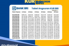 Cicilan Mulai 100 Ribuan! Intip Tabel KUR BRI 2026 dan Cara Daftar Online 