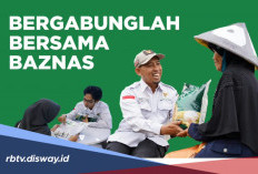 Siapin Cv! Baznas Buka Lowongan Kerja untuk Lulusan S1, Cek 4 Posisi Ini
