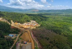 Nggak Main-main, Ekonomi Maluku Utara di Topang dari Harta Karun Ini 