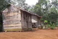 Jalur Listrik Dusun 3 Tanjung Kemenyan Bisa Melintasi Hutan Lindung, PLN Diminta Segera Tuntaskan Perizinan