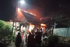 Kebakaran Hebat Hanguskan Rumah Warga Sosokan Taba Kepahiang