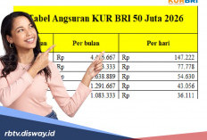 Tabel KUR BRI Mei 2026 Rp 50 Juta, Hindari Kesalahan Fatal Ini!