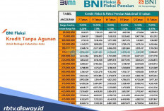 Syarat dan Tahapan Lengkap Pengajuan BNI Fleksi Rp 100 Juta Tahun 2026
