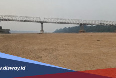 Hamparan Pasir Muncul, Ini Penyebab Sungai Barito dan Sungai Kapuas Menyusut