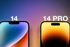 Lagi Nyari iPhone 14 Series yang Cocok? Ini Perbandingan iPhone 14 Pro vs iPhone 14