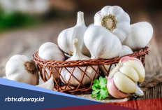 Bawang Putih untuk Perawatan Kulit, Rahasia Cantik Alami yang Patut Dicoba
