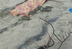Geger Temuan Mayat Pria di Pantai Rawa Bangun Mukomuko, Identitas Belum Diketahui