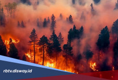 Cara Cek Kualitas Udara di Rumah Pakai HP, Wajib Dilakukan saat Polusi Karhutla Naik