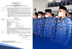 Apakah SK PPPK Paruh Waktu Bisa jadi Jaminan Pinjaman Bank 