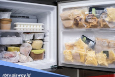 5 Penyebab Kulkas Mengeluarkan Air atau Bocor dan Cara Mengatasinya