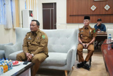 Pemkot Bengkulu Terima Sapi Qurban Bobot 804 Kg dari Presiden RI