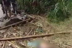 Penemuan Mayat di Aliran Sungai Musi Kepahiang, Diduga Seorang Wanita