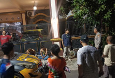 Nekat Sekali, Dua Pemuda Ini Curi Alpukat di Rumah Wakapolres 