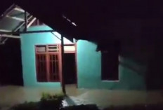 Hujan Deras, Puluhan Rumah Warga Seluma Terendam Banjir, 1 Rumah Tertimpa Tiang Listrik 