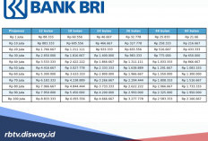 Kategori Terbaru KUR BRI 2026, Pinjaman Rp 10 Juta Masuk Jenis Apa?