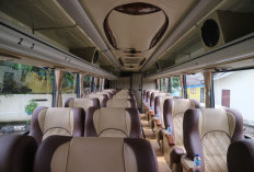 Ini Dia, Posisi Kursi Bus yang Paling Nyaman untuk Perjalanan Jauh