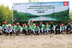 Bangun Rumah Semai Bibit Mangrove, AHM Tumbuhkan Harapan Baru bagi Pesisir Karawang