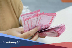 Cara Klaim Saldo DANA Gratis Tanpa KTP Langsung Cair, Unduh Aplikasi Ini